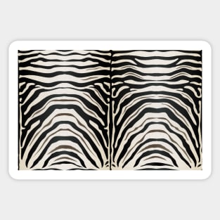 Zebra Print Sticker